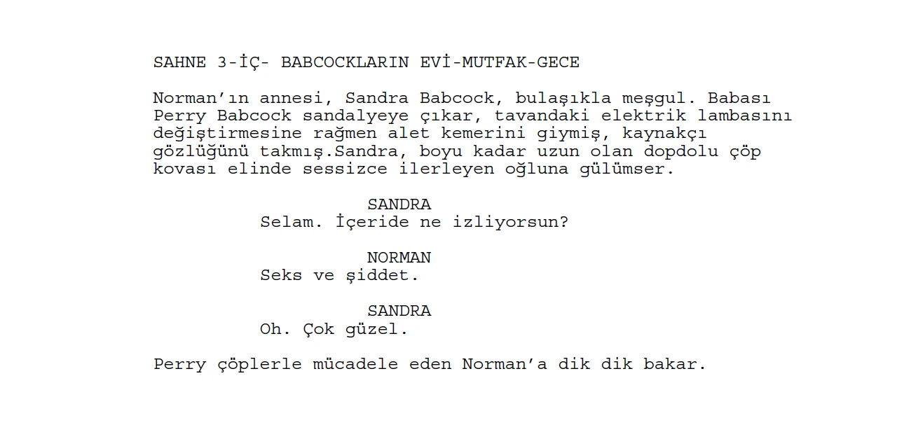 Senaryo nasıl yazılır, En kolay Senaryo nasıl yazılır, Senaryo yazma teknikleri ve örnekleri