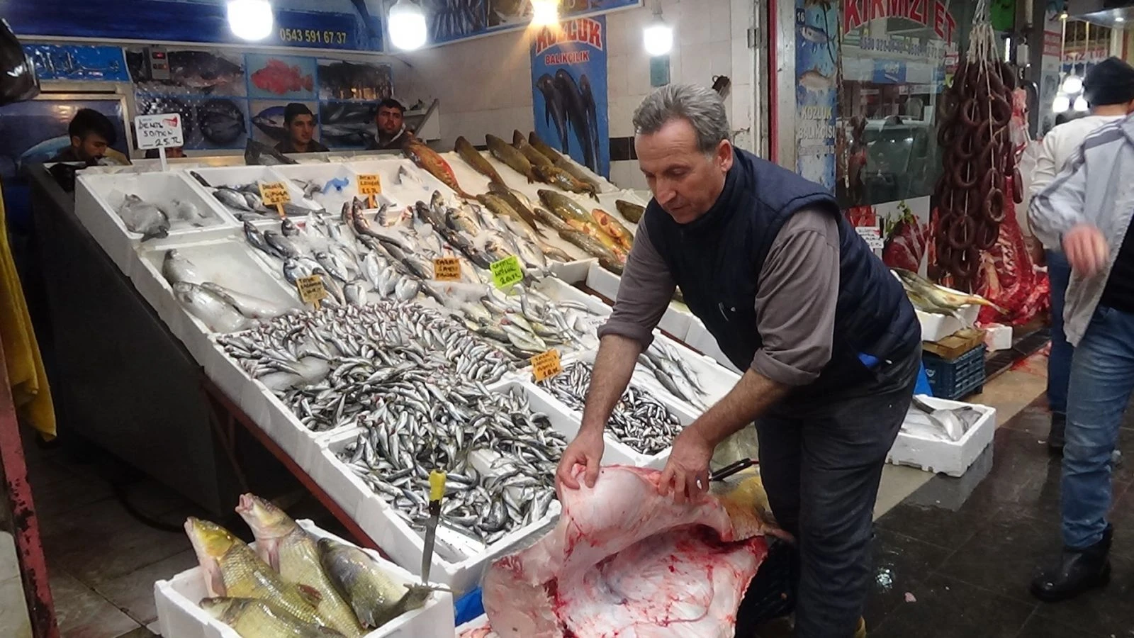 Keban Barajı’nda 92 kilogramlık turna balığı yakalandı