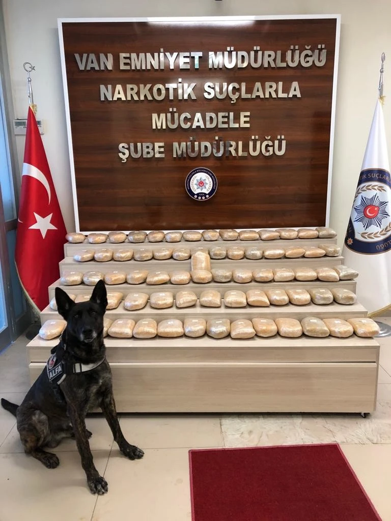 Van'da bir minibüste 73 kilo toz esrar ele geçirildi