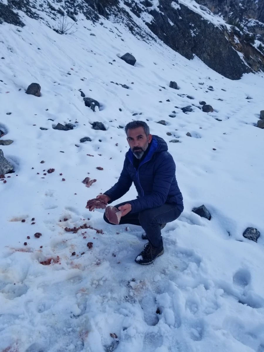 Esnaftan yaban hayvanları için et topladı, doğaya bıraktı