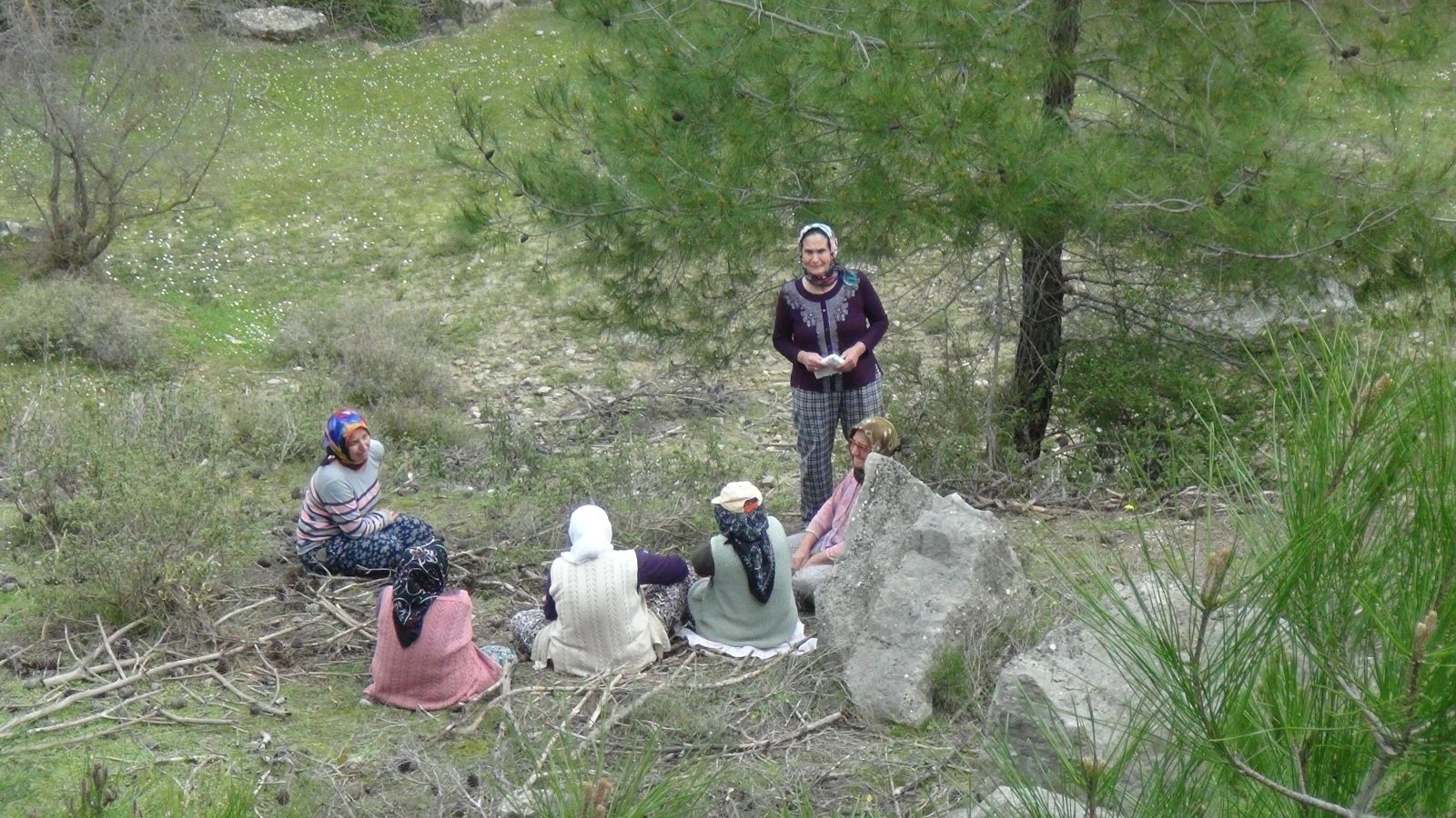 Kestiği ağacın altında kalan yaşlı adam öldü