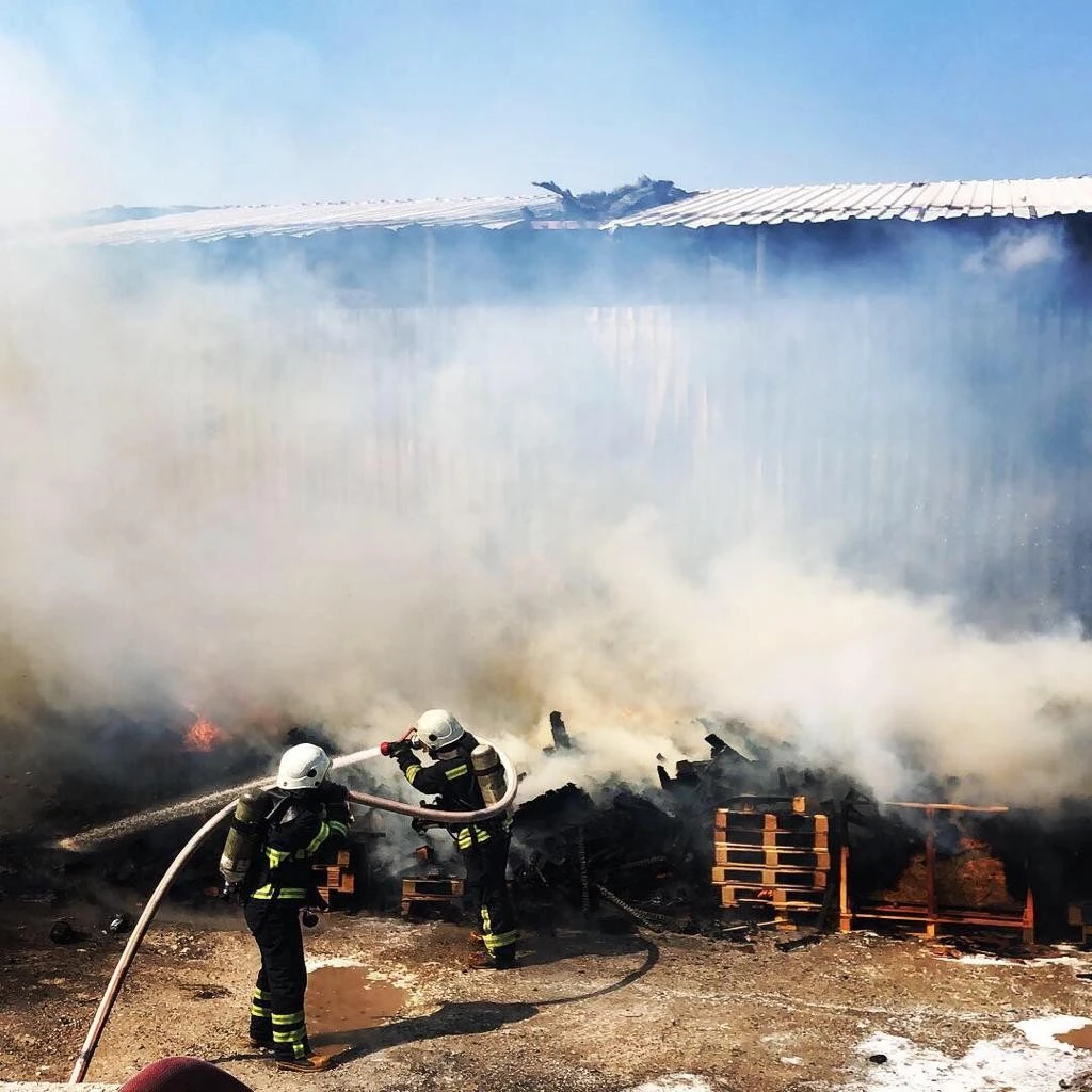 Palet fabrikasında korkutan yangın