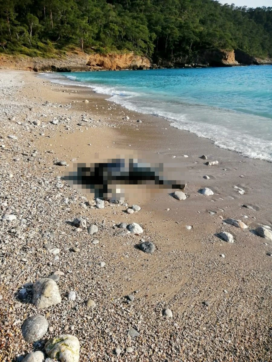 Fethiye'de denizde erkek cesedi bulundu