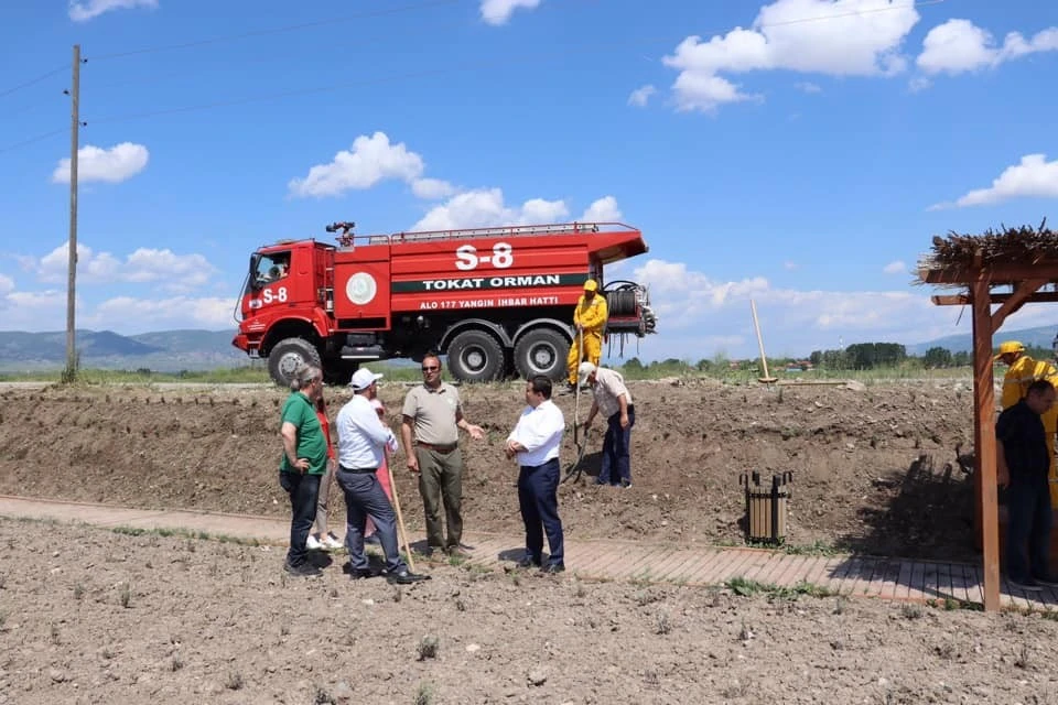 Kaz gölüne 3 bin adet lavanta dikildi