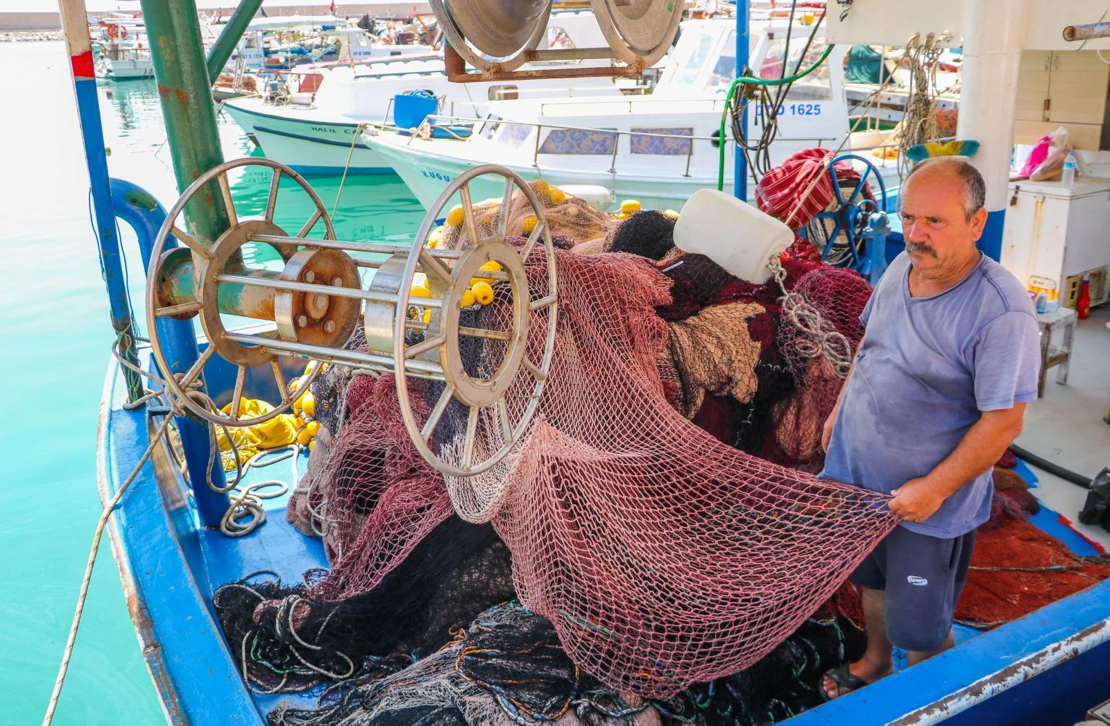 'Balon balığı' balıkçıların kabusu oldu
