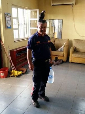 'Besle kargayı oysun gözünü' derler ama bu karga başka!