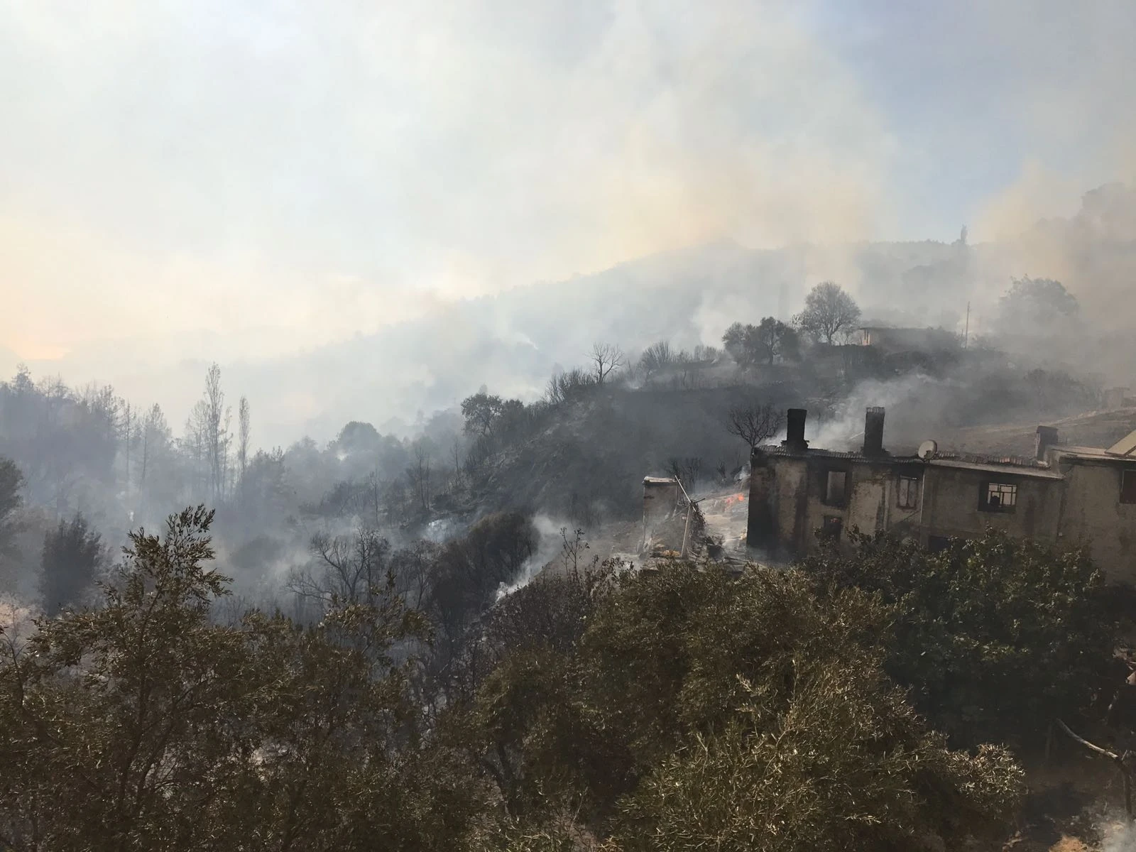 Muğla'da çıkan yangın rüzgarın etkisiyle büyüyor