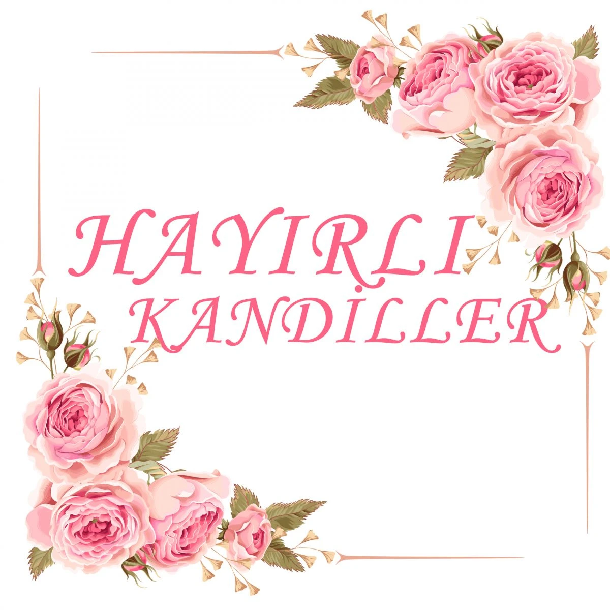 Mevlid Kandili Mesajları, Resimli Mevlid Kandili Mesajları, 2020 Mevlid Kandili mesajları, resimli