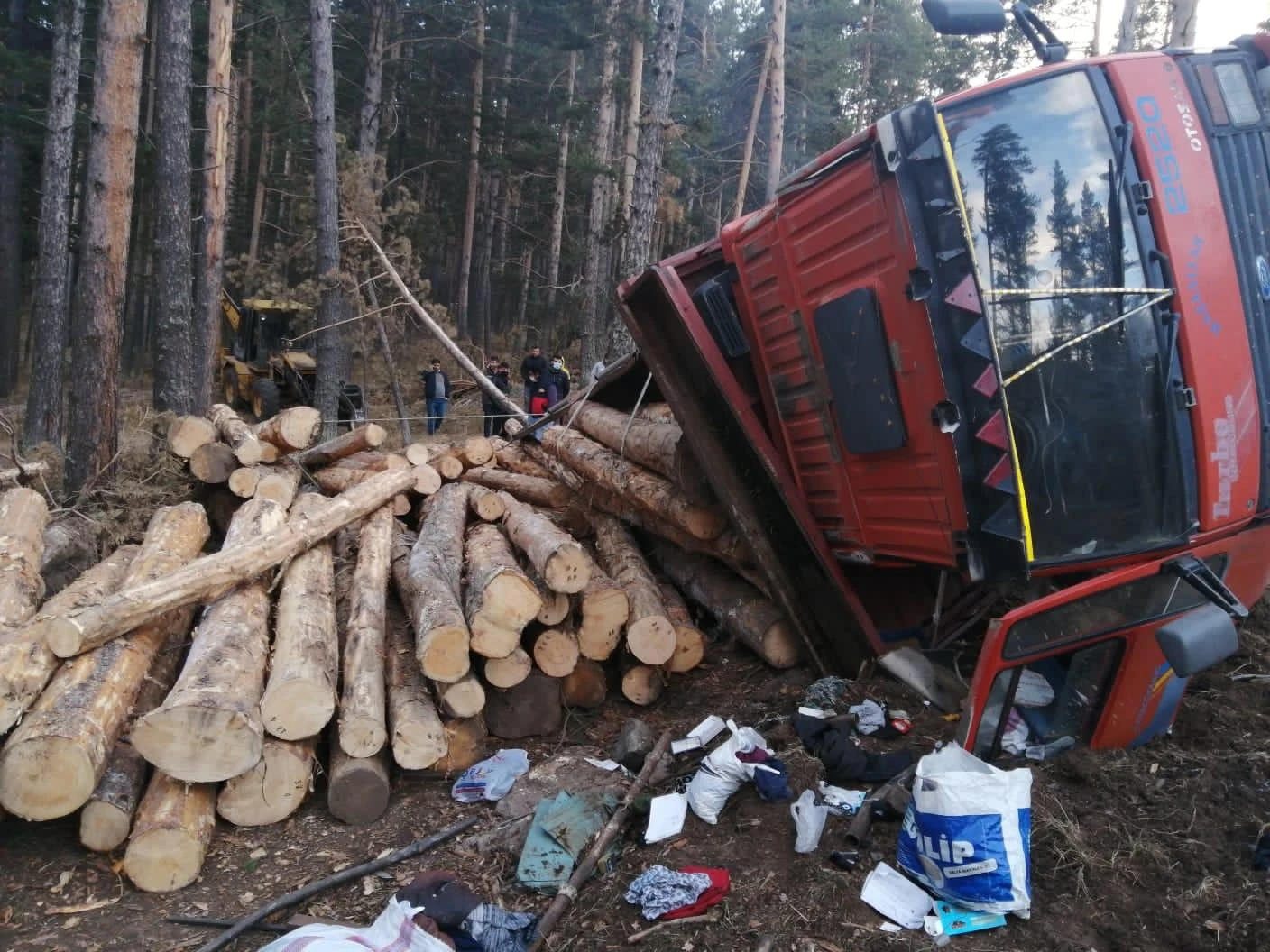 Freni boşalan kamyondan atladı, tomrukların altında hayatını kaybetti