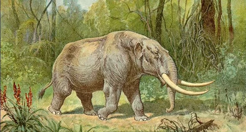 Parkta yürürken buldu! Bir türü keşfetti!