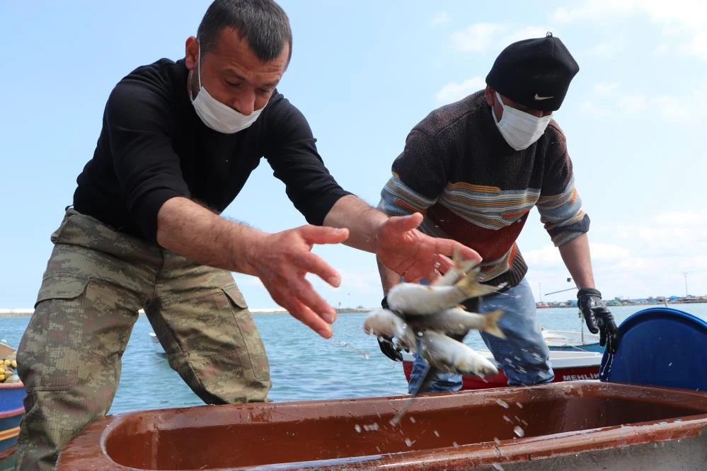 Balık sezonuna iklim değişikliği etkisi