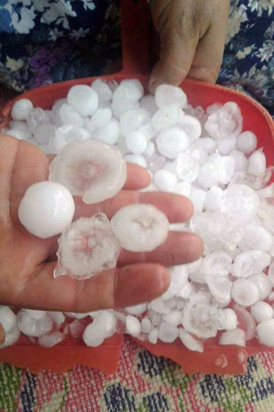 Dolu yağışı zeytin ve üzümü vurdu