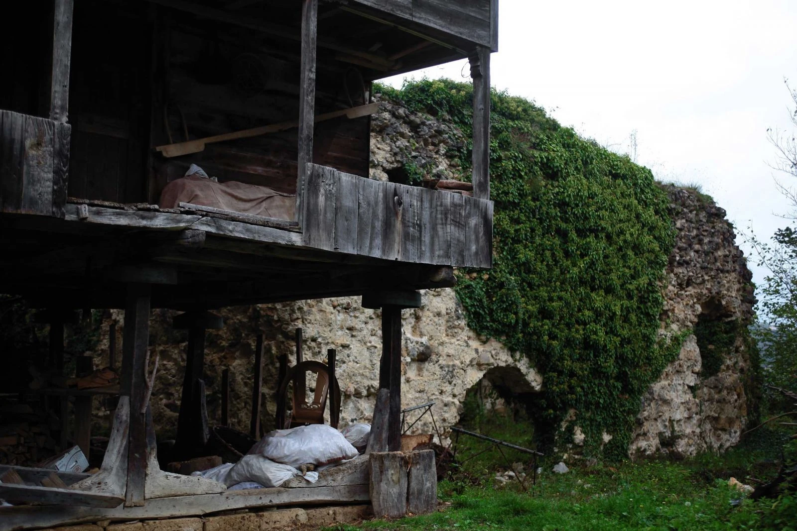 Rum bir çocuk ve bir ilçenin ABD’ye göçü