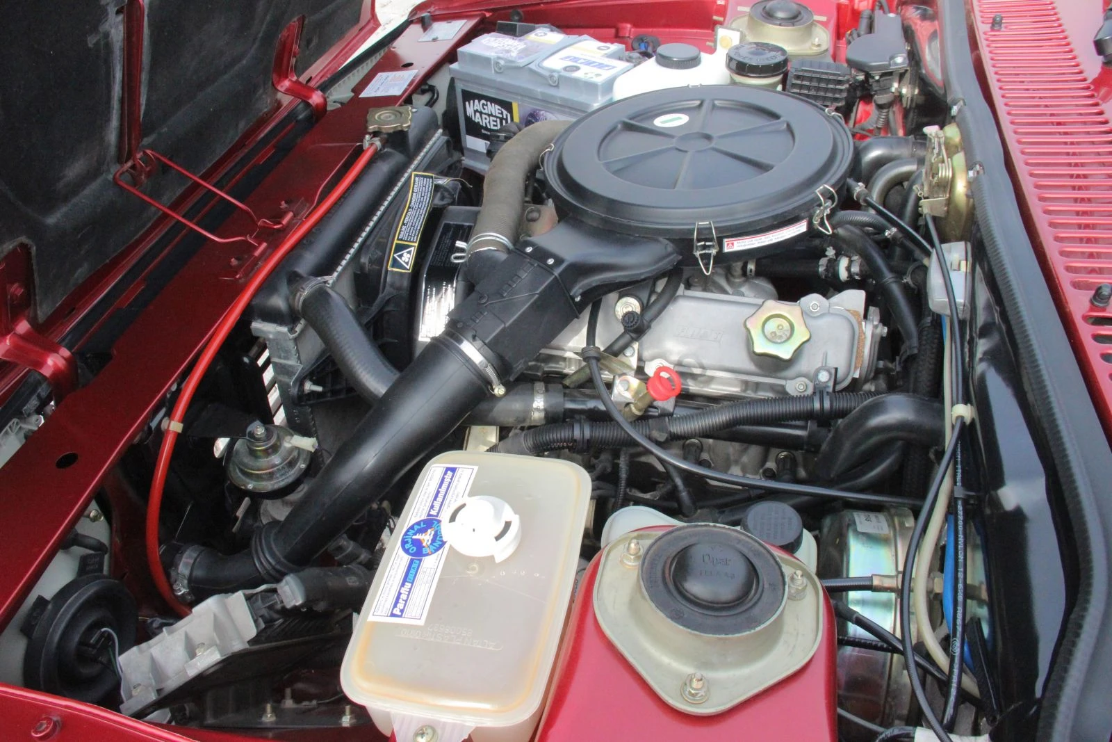 15 Bin liralık Doğan'ı 50 bin liraya sattı