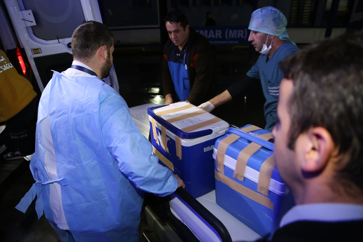 Üniversite öğrencisi kızın organları umut oldu