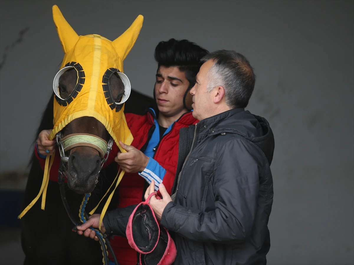 Şampiyon yarış atına alıcı çıkmadı