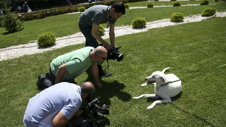 Bakan Selçuk'un sahiplendiği 'Pergel' eğitimcilere emanet