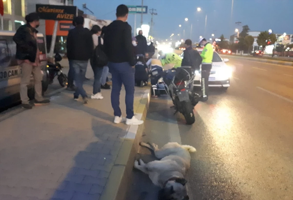 Balıkesir'de motosiklet köpeğe çarptı: Sürücü ağır yaralandı