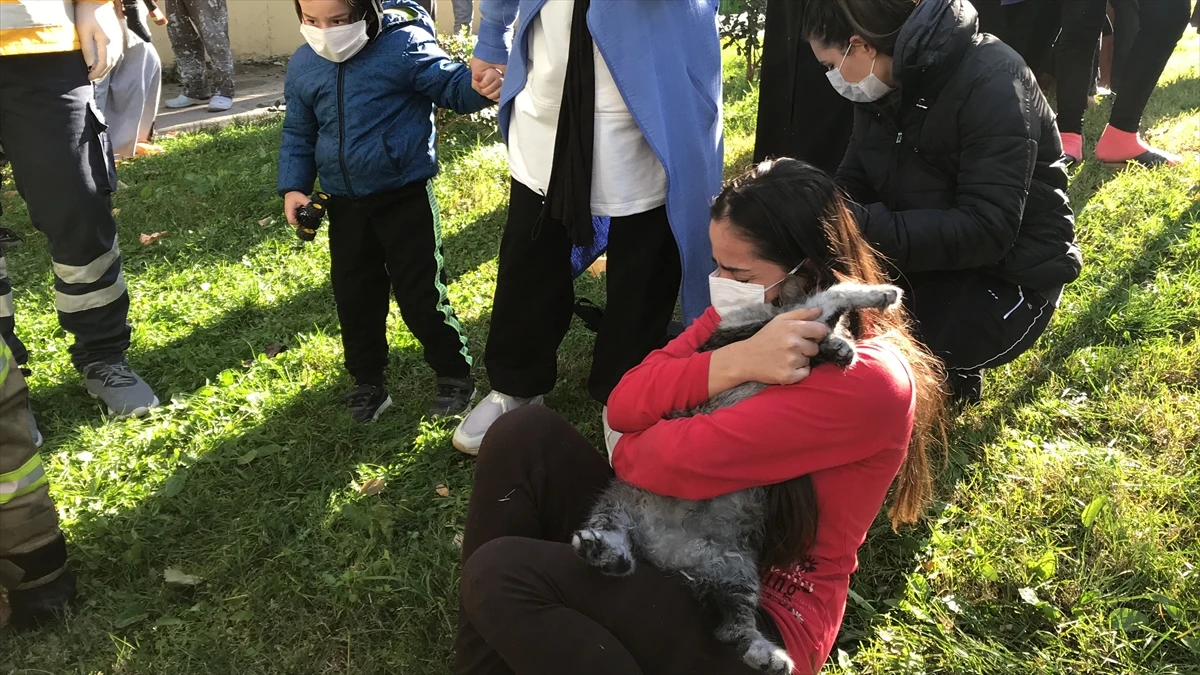 Dumandan etkilenen kediler kurtarıldı