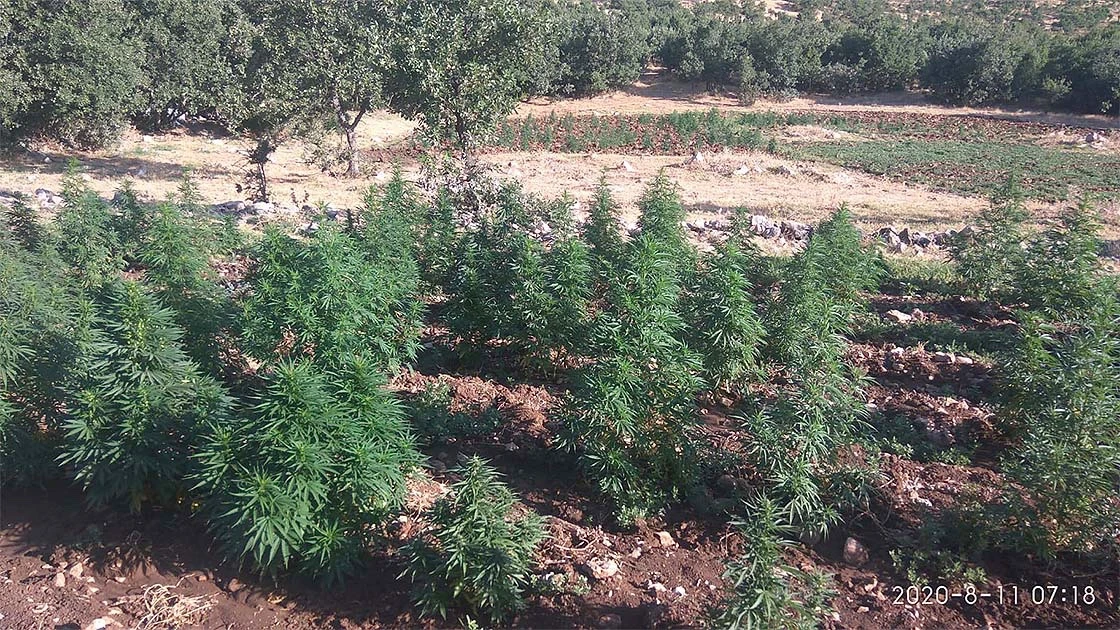 Diyarbakır'da uyuşturucu operasyonu!