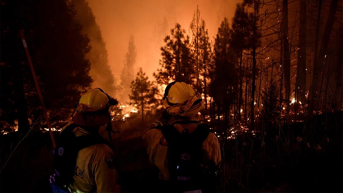ABD'nin batısındaki orman yangınlarında ölü sayısı 15'e yükseldi