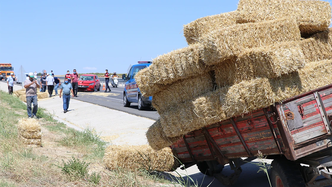 Otomobile giren arı kazaya neden oldu