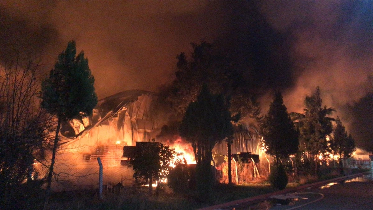 Narenciye fabrikasında çıkan yangın söndürülmeye çalışılıyor