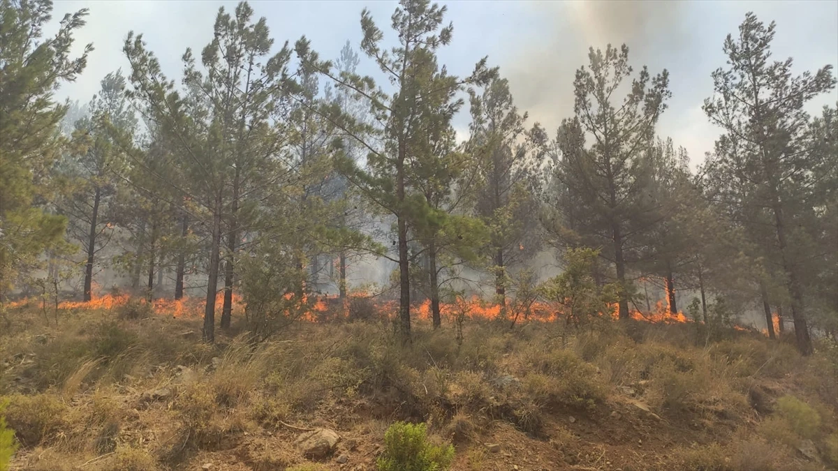 Mersin’de orman yangını: Evler boşaltıldı, Bakan Pakdemir'li olay yerinden takip etti