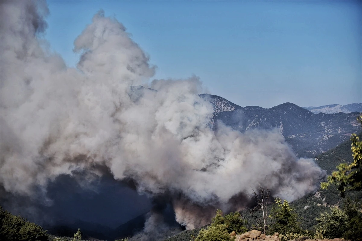 Mersin’de orman yangını: Ekipler kontrol altına almaya çalışıyor
