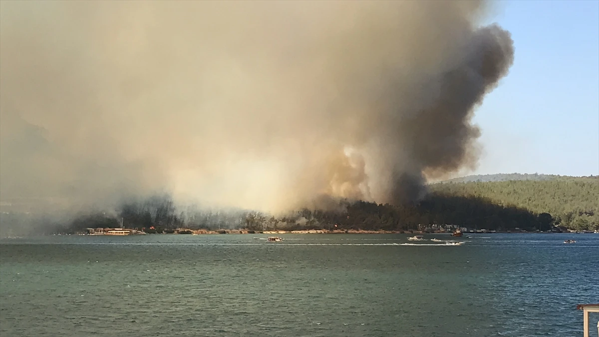 Milas’ta orman yangını: Çok sayıda ekip sevk edildi