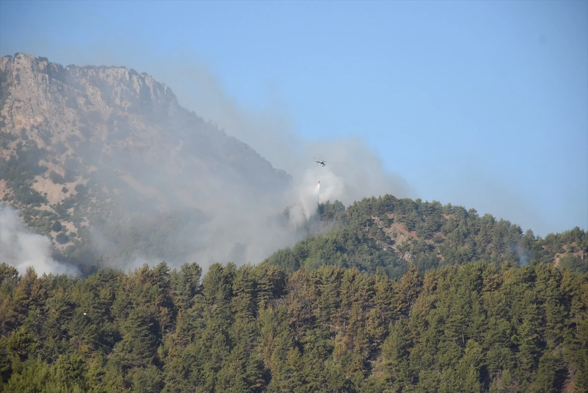 Adana Aladağ ve Kozan'daki yangınlarda son durum