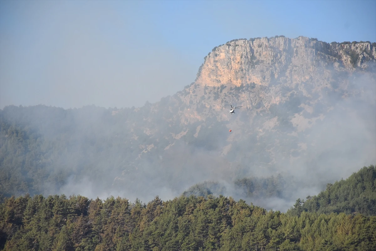 Adana Aladağ ve Kozan'daki yangınlarda son durum