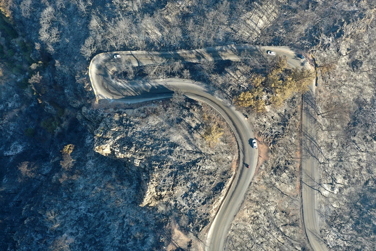 Yangınların can sıkan bilançosu