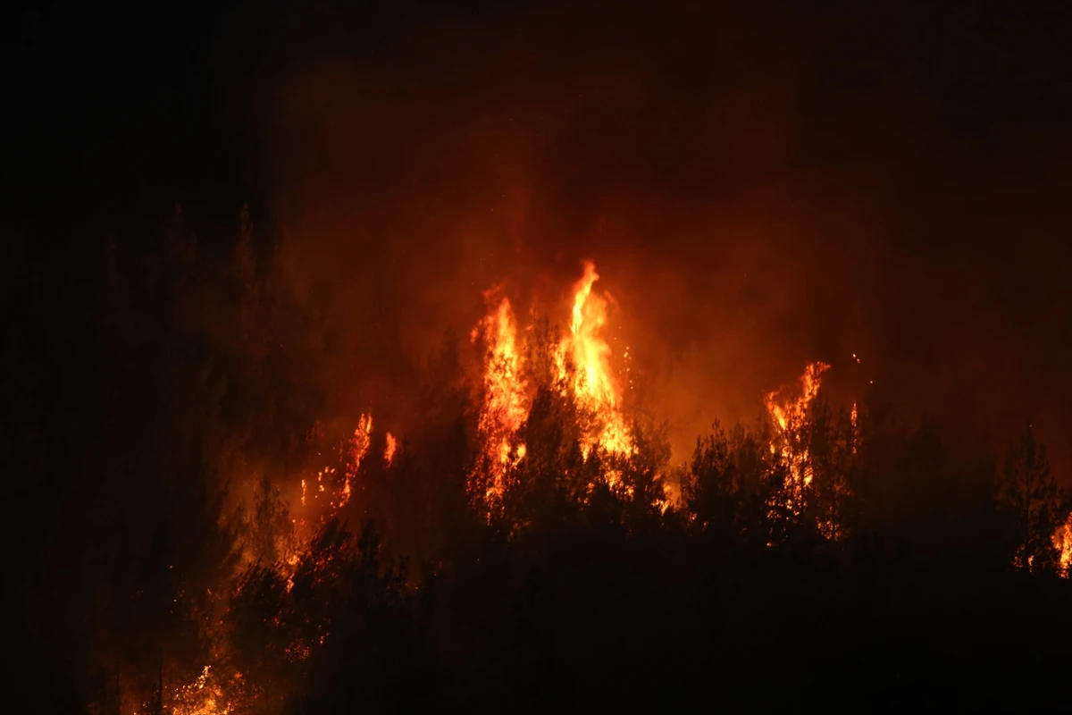 Adana’daki yangın 2 ilçeye sıçradı