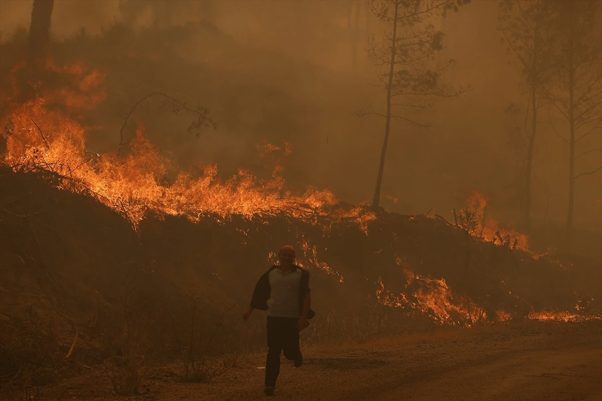 Help Turkey dezenformasyonu deşifre oldu: İşte sahte hesaplarla yapılan algı operasyonu