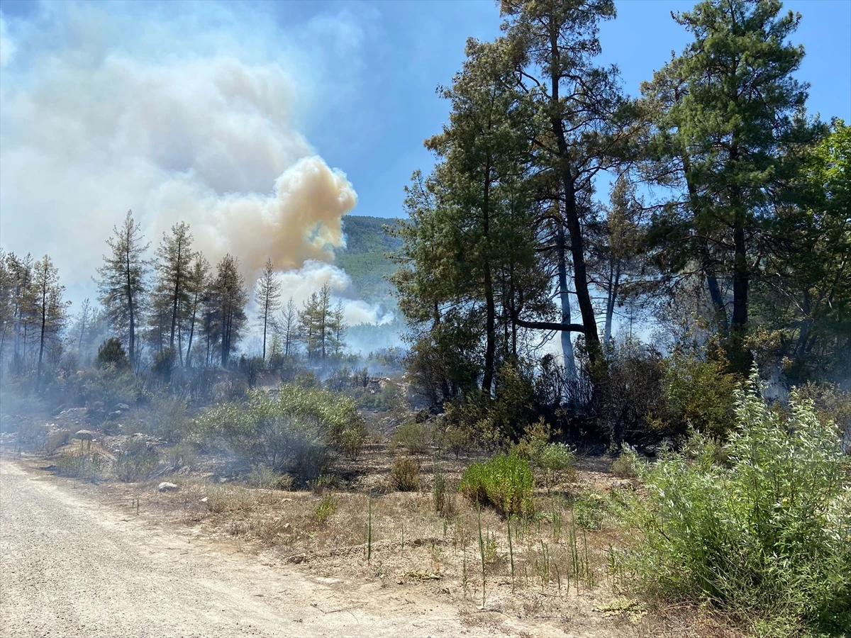 Orman yangınlarında son durum: Bucak yangını tehlikeli
