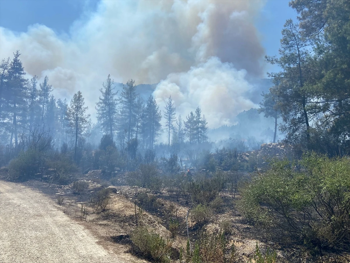 Orman yangınlarında son durum: Bucak yangını tehlikeli