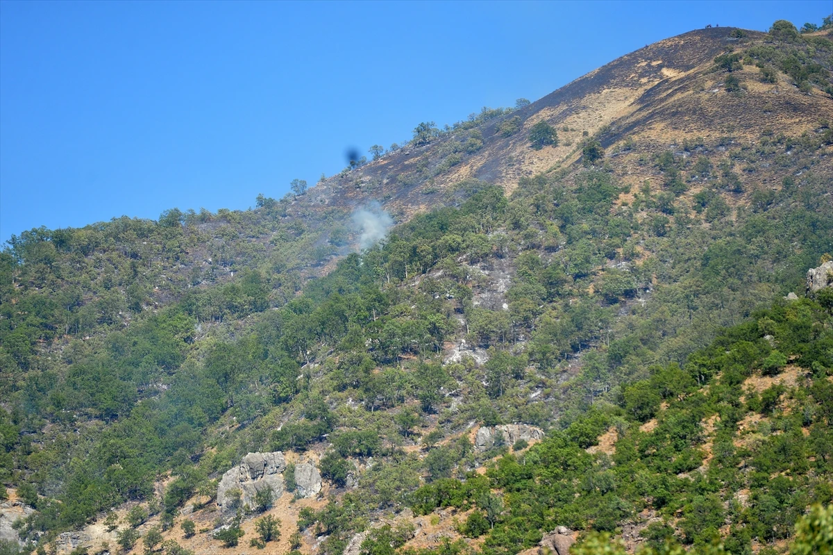 Ekipler canla başla görev aldı: Munzur Vadisi yangını kontrol altında