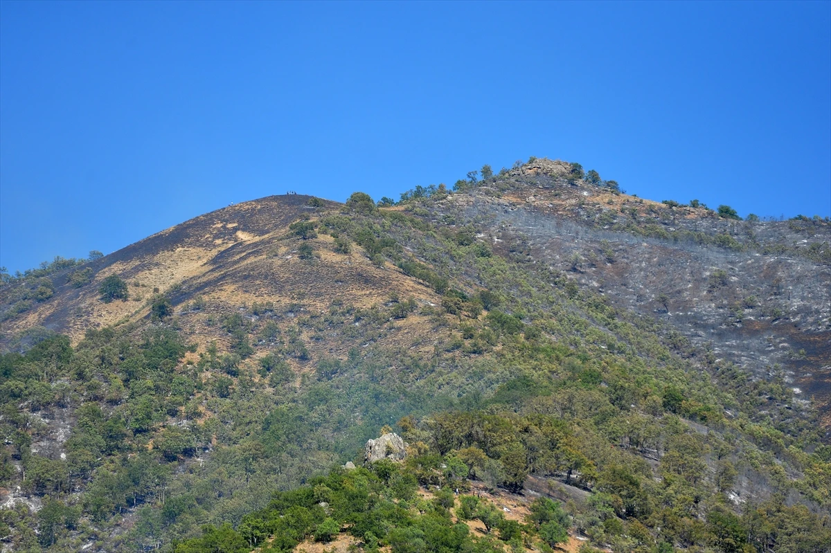 Ekipler canla başla görev aldı: Munzur Vadisi yangını kontrol altında