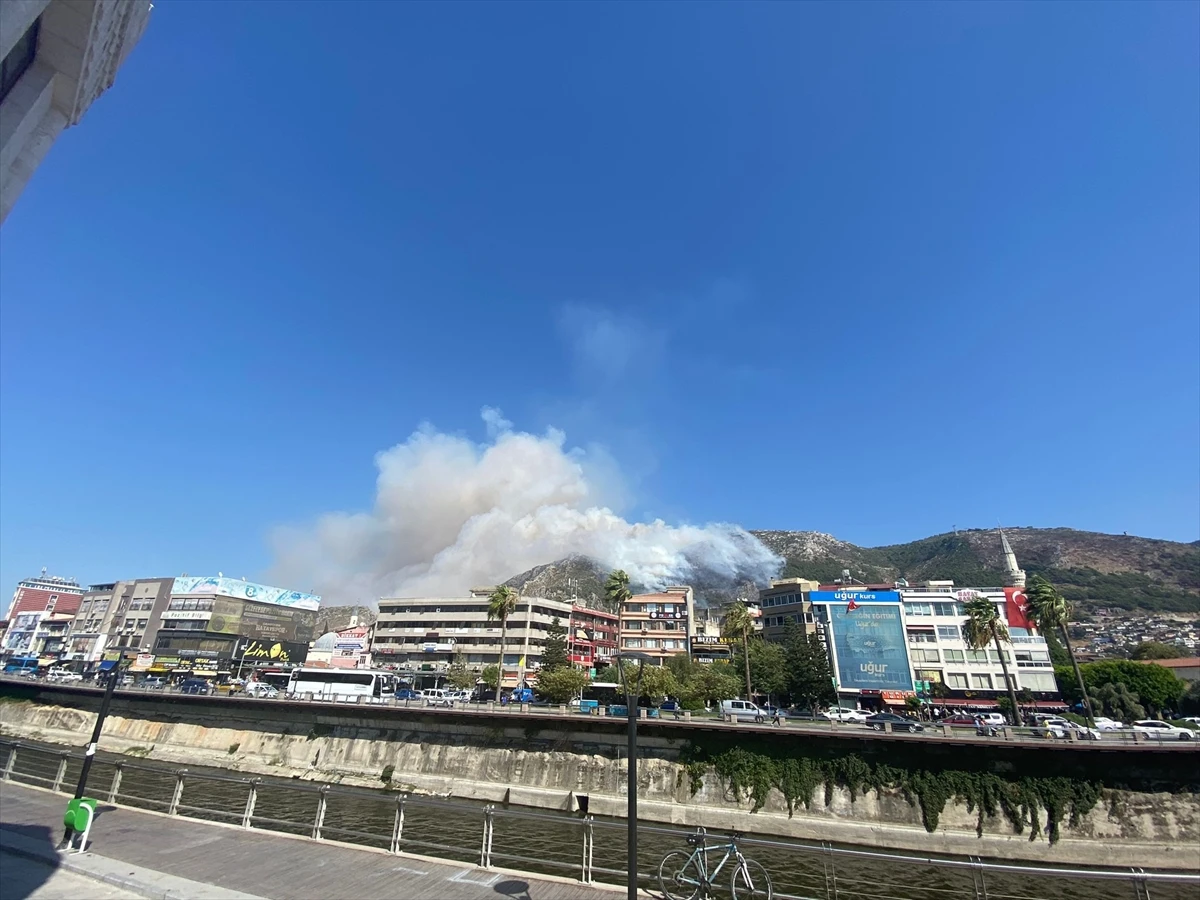 Hatay'da orman yangını: Neccar Dağı etekleri alev aldı