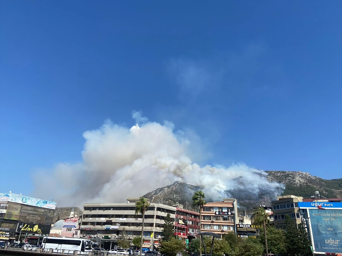 Hatay'da orman yangını: Neccar Dağı etekleri alev aldı