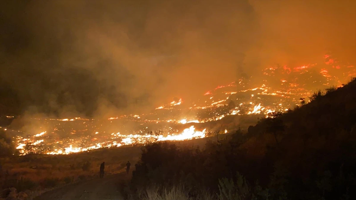 Muğla'daki orman yangını kontrol altına alındı