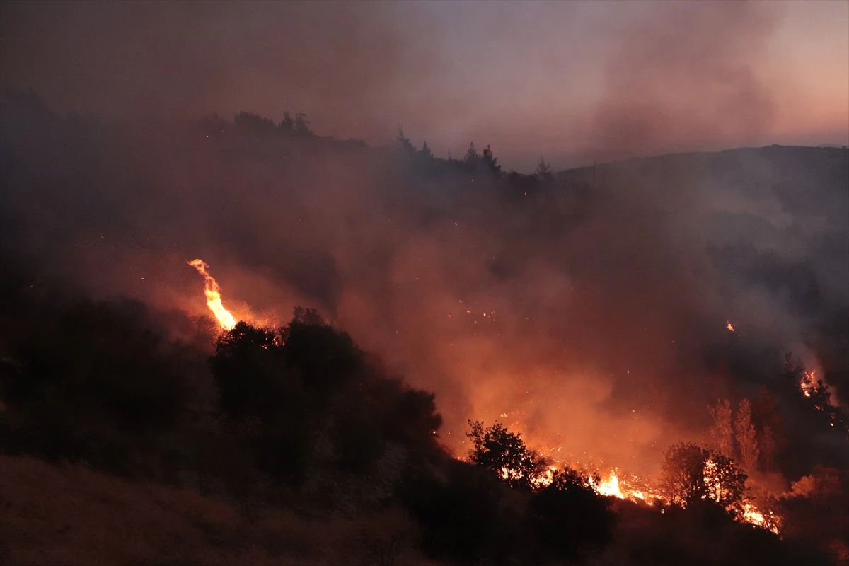 Hatay’daki orman yangını kontrol altında