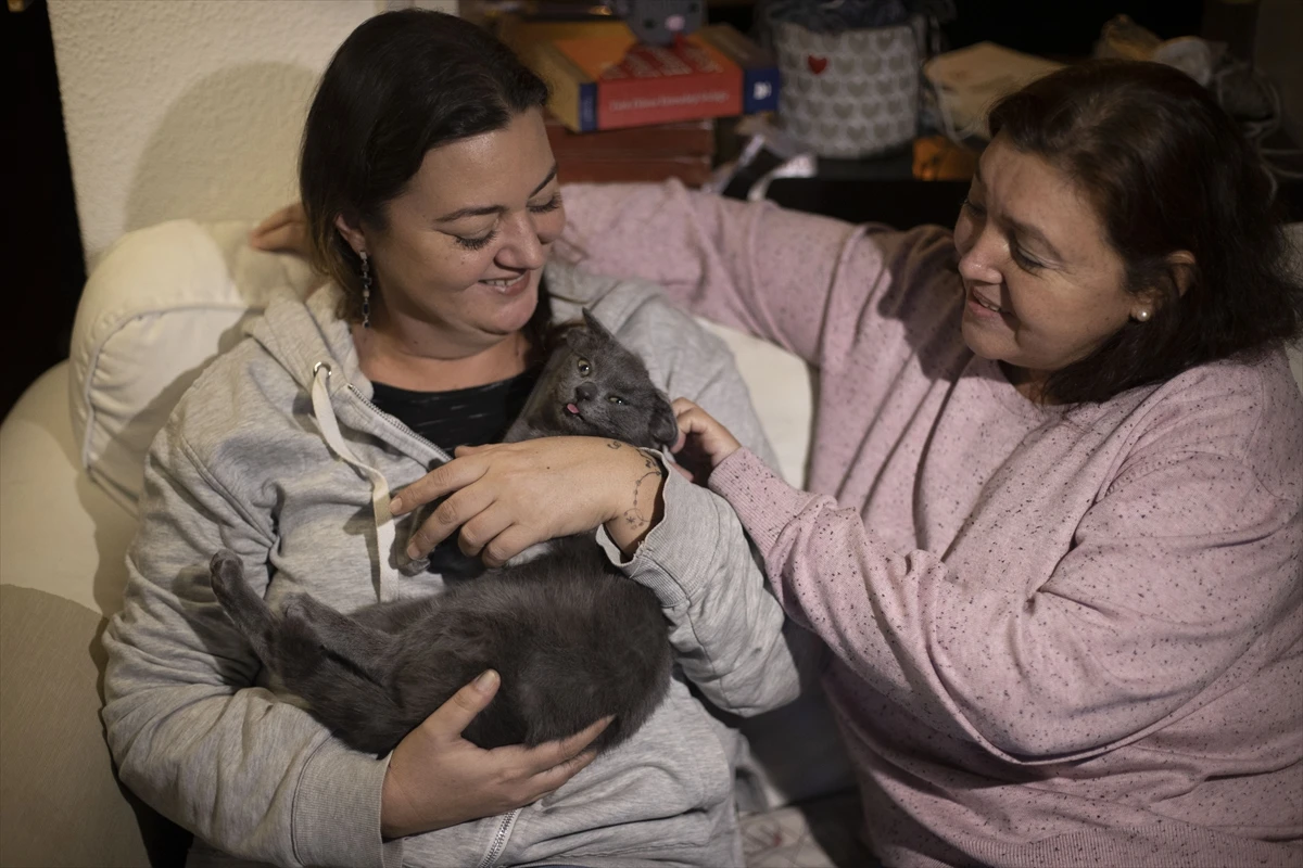 Doğuştan 4 kulaklı Midas fenomen oldu