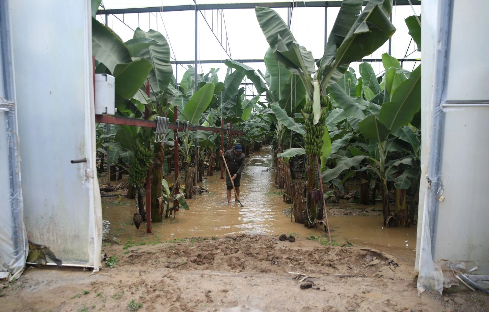 Antalya'yı sel vurdu: Irmaklar taştı, iş yerleri ve tarım alanları sular altında kaldı