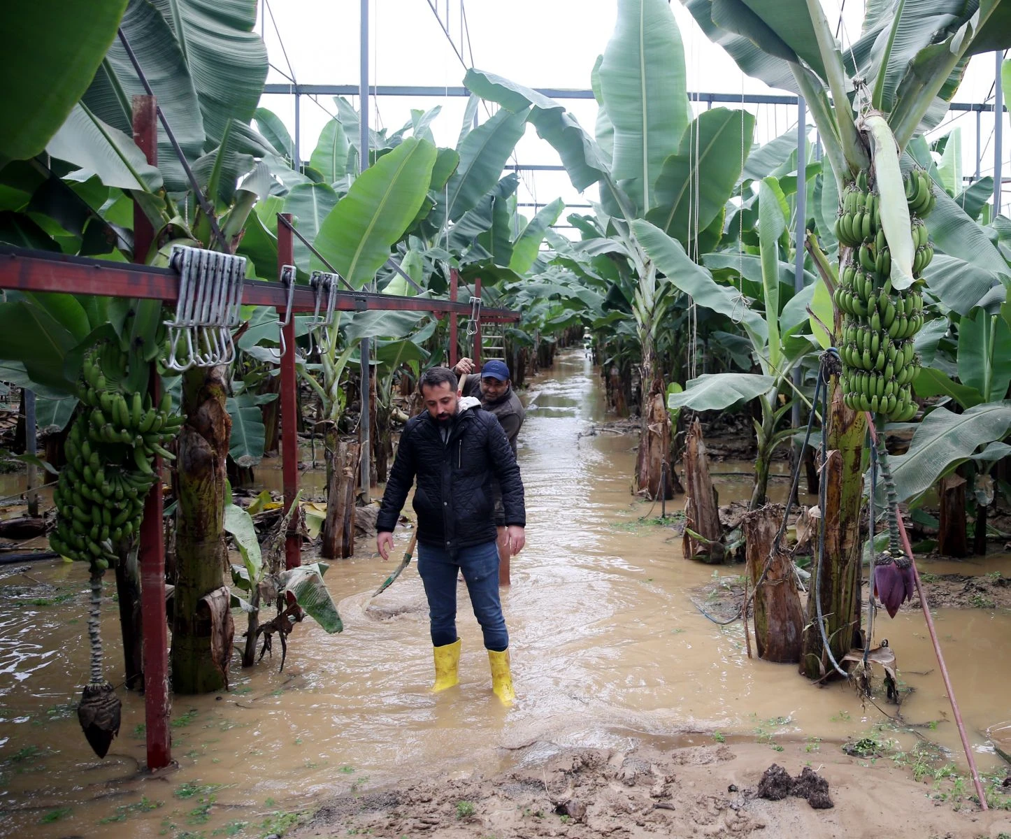 Antalya'yı sel vurdu: Irmaklar taştı, iş yerleri ve tarım alanları sular altında kaldı