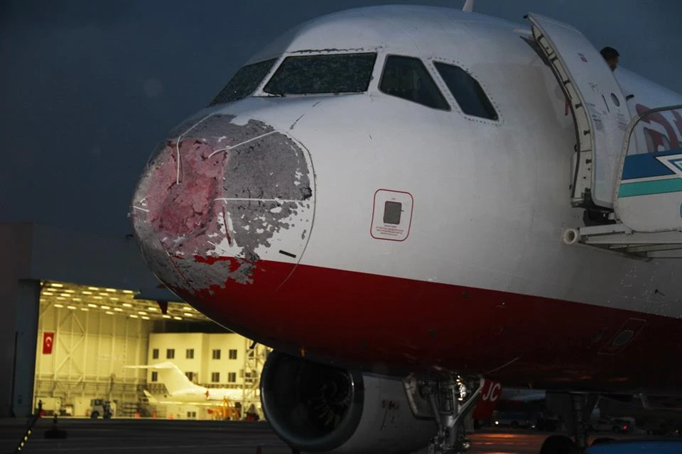 Ukraynalı pilot Akopov'a cesaret nişanı