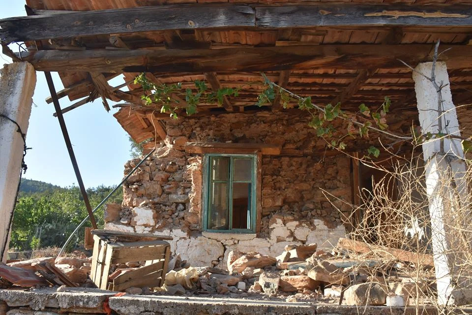 Depremde yıkılan evine değil ölen civcivlerine ağladı