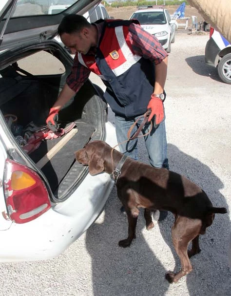 Adana'da olağanüstü hareketlilik! Şehre giren araçlar tek tek aranıyor