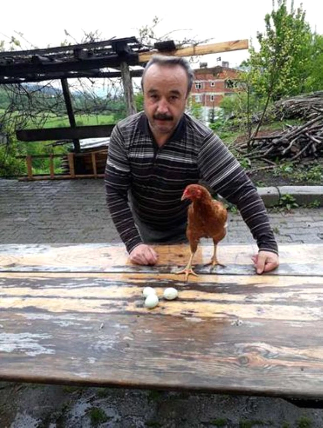 Değerini öğrenince kesmekten vazgeçip üretime başladı